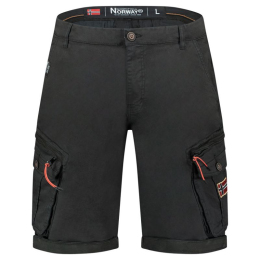 Geographical Norway šorti