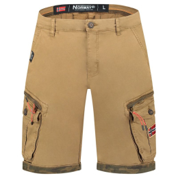Geographical Norway šorti