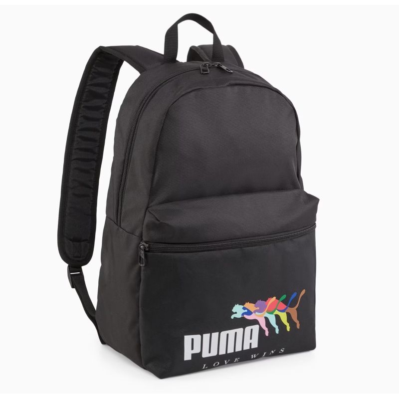 Puma mugursoma