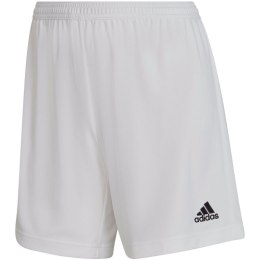 Adidas šorti
